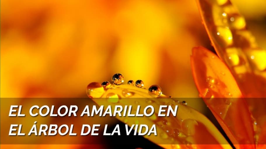 Cromoterapia: El significado del color amarillo en el árbol  de la vida