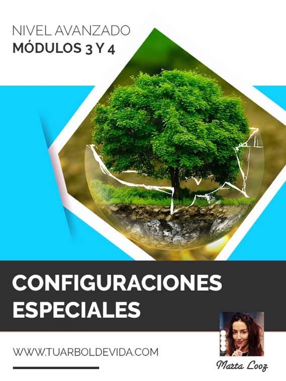 Módulo 3 y 4: Configuraciones especiales, Flores de Bach y piedras en la naturaleza