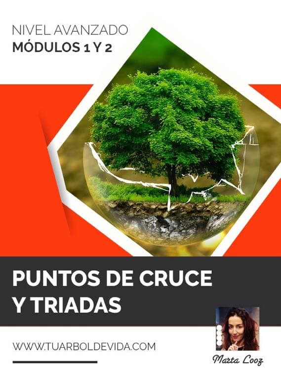 Módulo 1 y 2: Puntos de cruce y triadas en el árbol de la vida