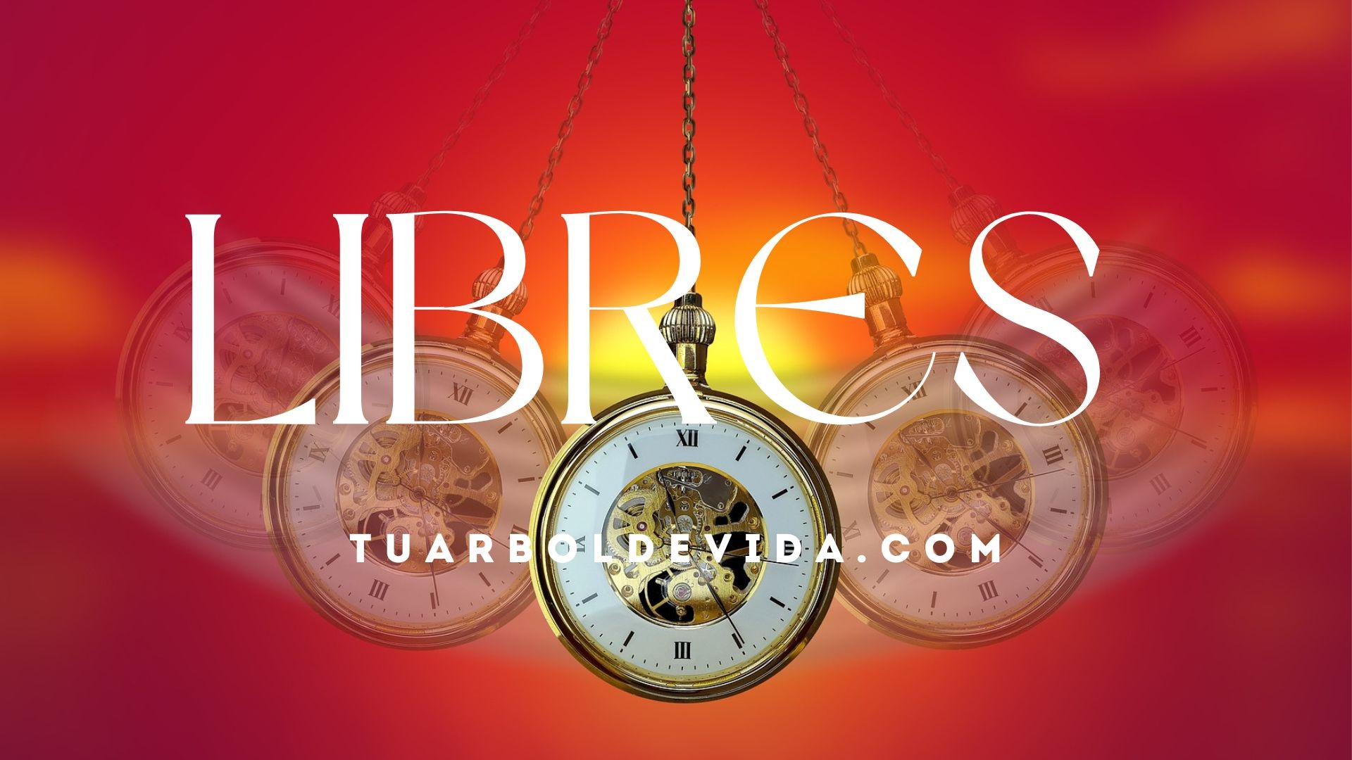 Imagen de 