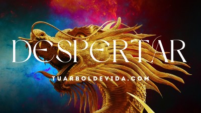 La verdadera libertad es para los intrépidos, proviene del interior.