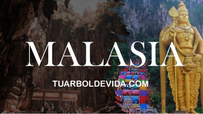 Consciencia: Cómo Malasia Acelera tu Flexibilidad y Tolerancia Activamente