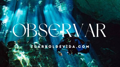 Habitar la paz; una revolución silenciosa
