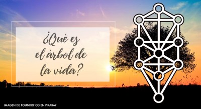 El árbol de la vida ¿Qué es y cómo levantar un árbol de la vida?