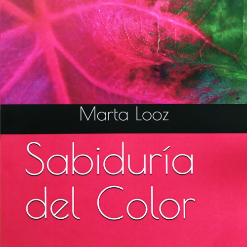 Imagen 0 LIBRO SABIDURÍA DEL COLOR: Cábala analítica y Color